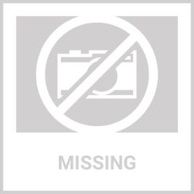 Camcon Locking Carabiner Small