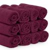 Luxury Washcloths for Bathroom Hotel Spa Kitchen Set of 12 Pcs Circlet Egyptian Cotton Highly Absorbent Hotel Quality Face Towels 13x13 Inch Wine Red