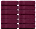 Luxury Washcloths for Bathroom Hotel Spa Kitchen Set of 12 Pcs Circlet Egyptian Cotton Highly Absorbent Hotel Quality Face Towels 13x13 Inch Wine Red